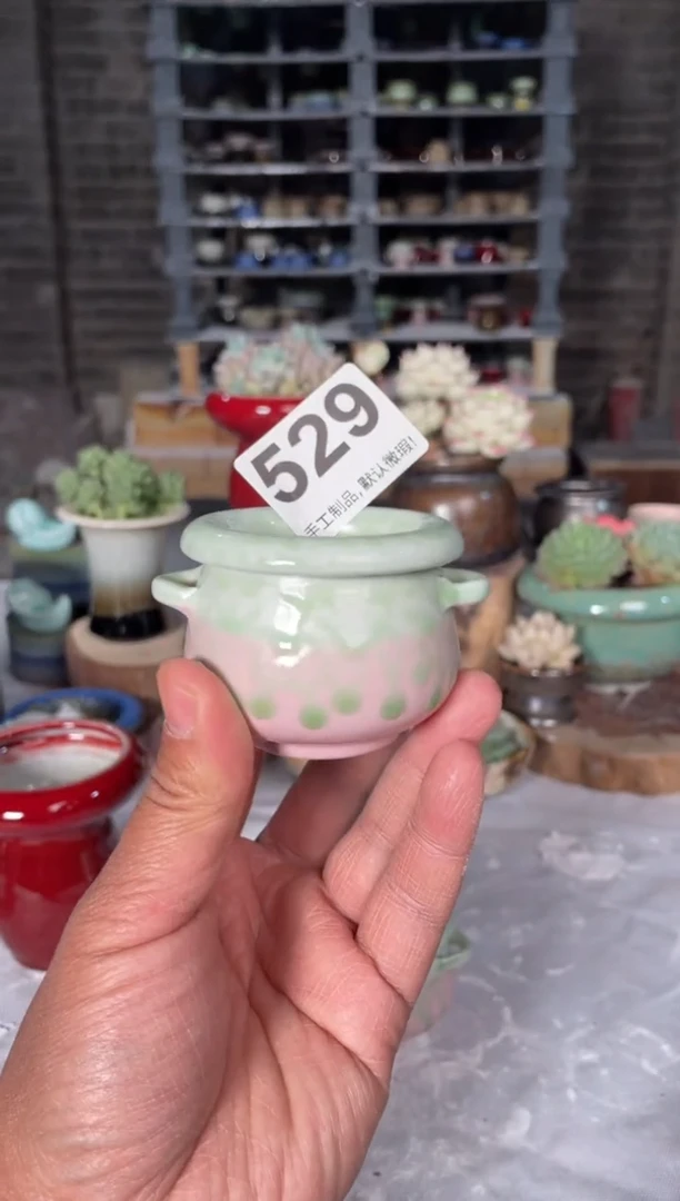 瓷片529小芳直播编号