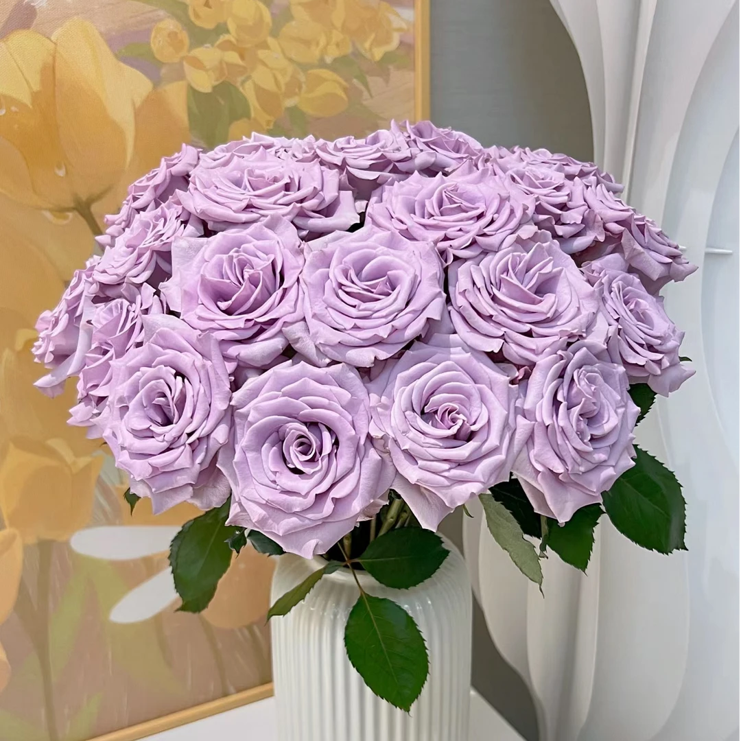 A级单头玫瑰鲜切花【海洋之歌】