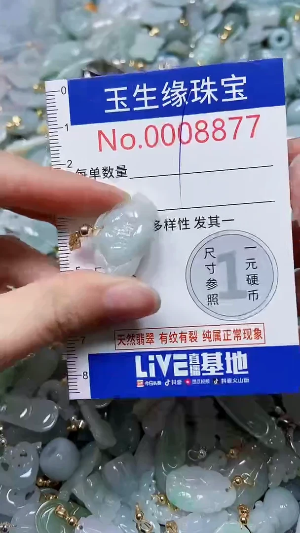 【闪购商品】翡翠颈饰未镶嵌闪购00008877