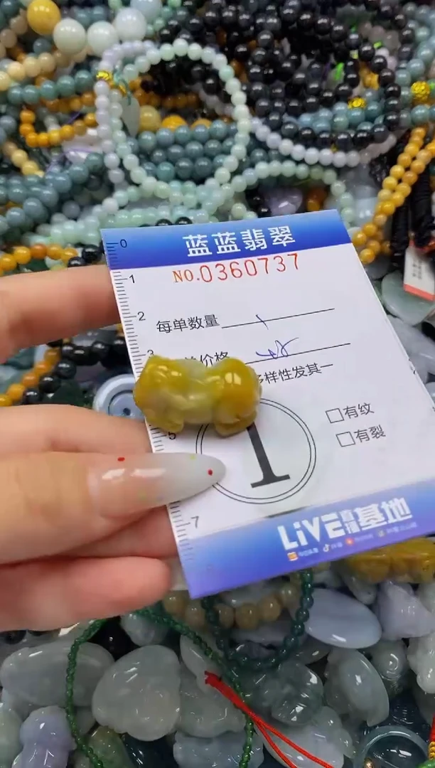 颈饰未镶嵌翡翠闪购0360737