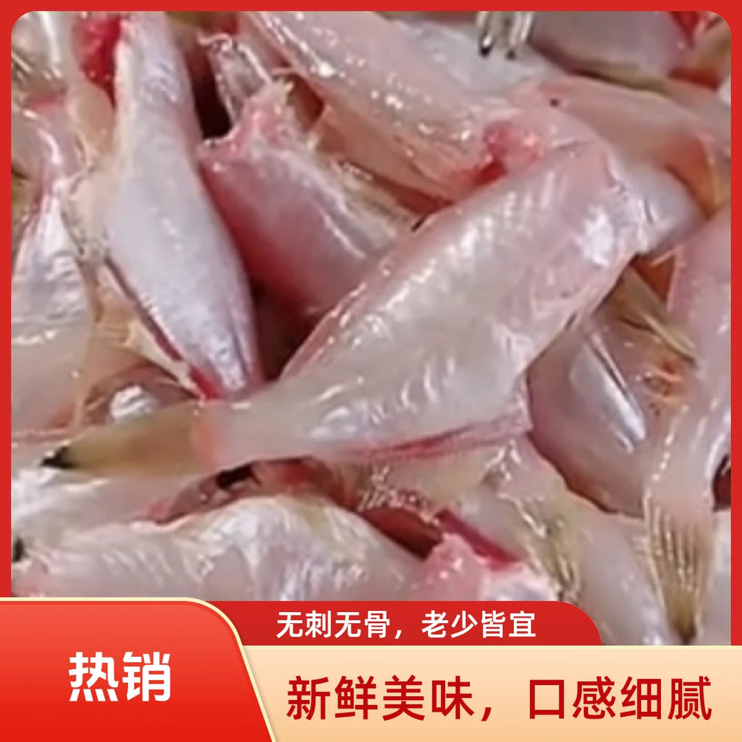 去头去肚耗儿鱼小扒皮鱼冰鲜食材新鲜深海鱼剥皮