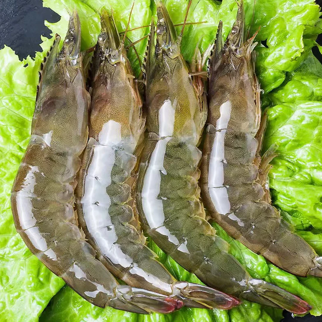 -【特大号规格 A级海虾】 14-17cm左右 50只左右 4斤/盒 盐冻