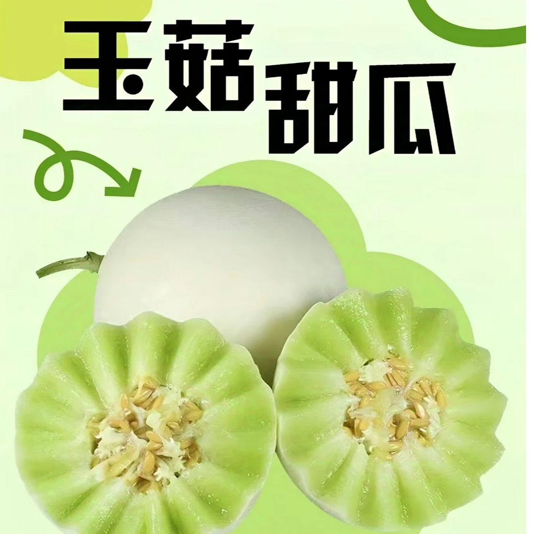 玉菇甜瓜新鲜应季现摘软糯香甜冰淇淋口感水果
