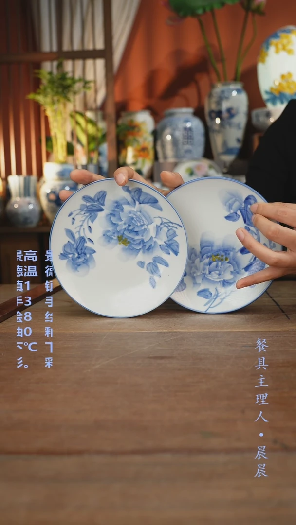 瓷片【简家甄选】景德镇设计师釉下手绘陶瓷餐具