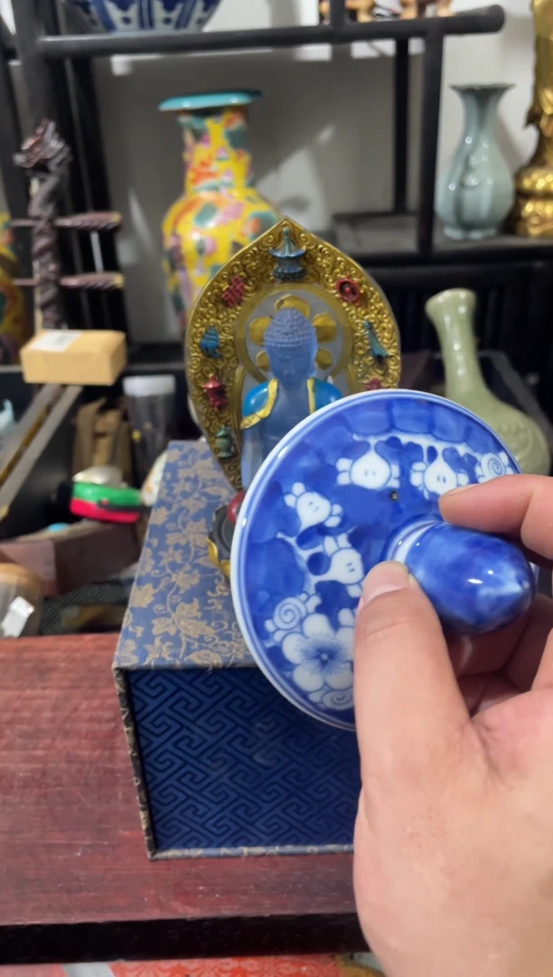瓷片主播推荐精选好物