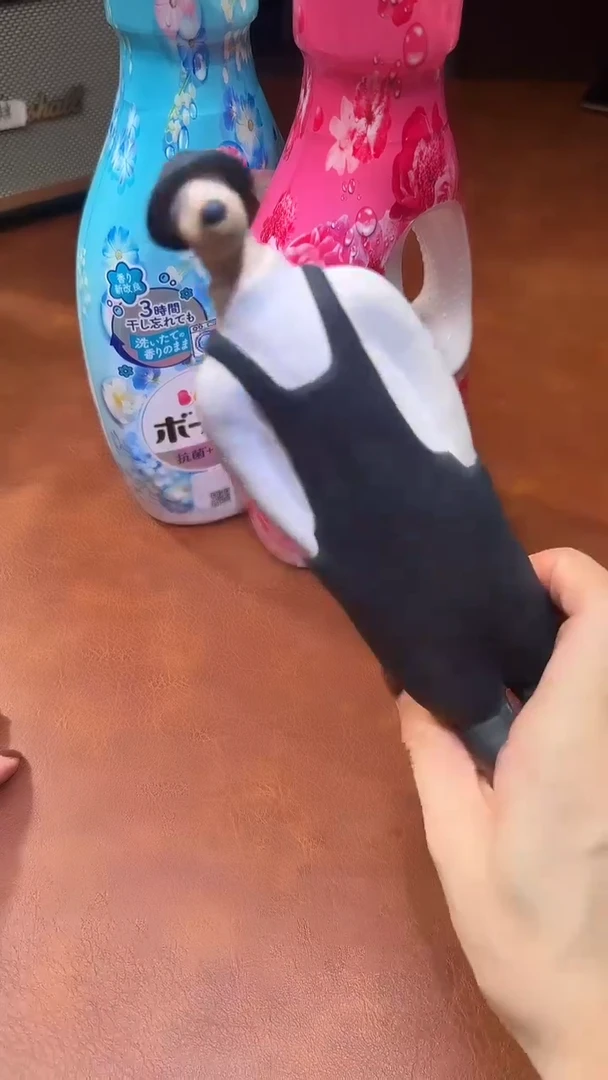 瓷片瓷器瓷器瓷器瓷器
