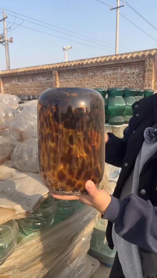 水养鲜花干花插花客厅装饰品大