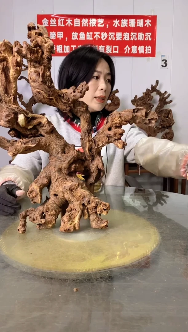 【闪购商品】木金丝红木 羊蹄甲