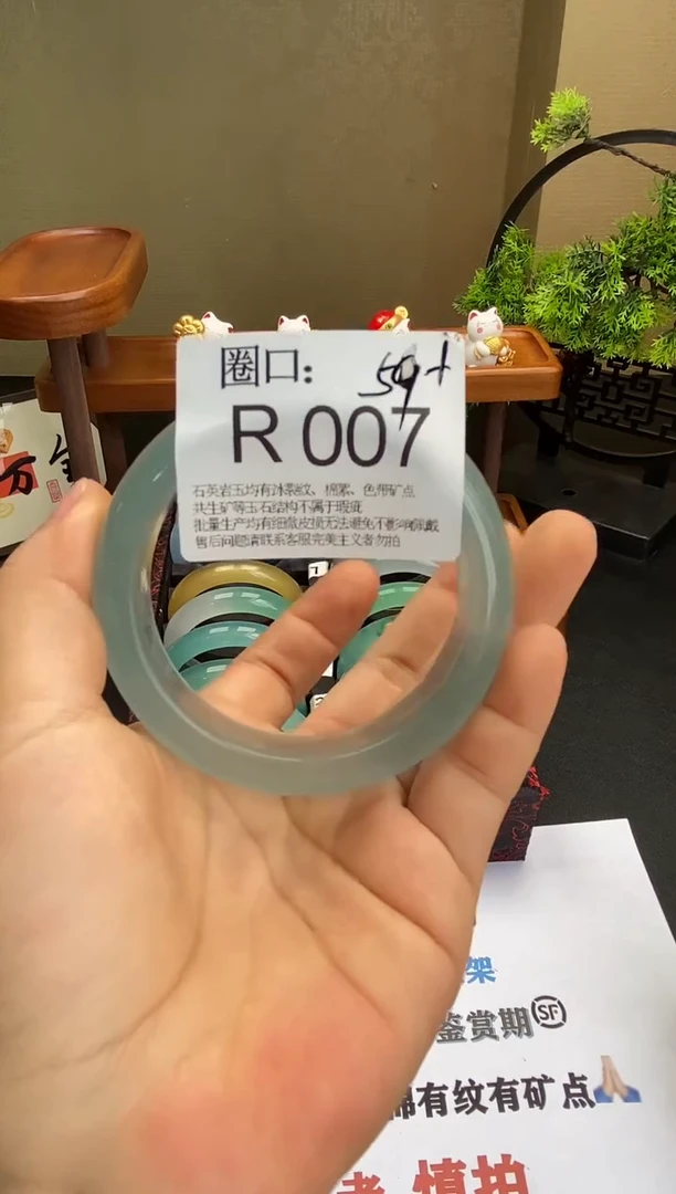 绽****?R007专拍链接一物一拍以截图为准