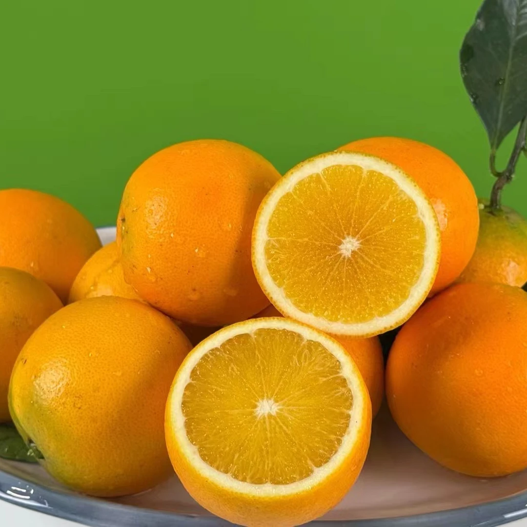 【麻阳融媒甄优选】正宗麻阳怀橘一号蔻橙 冬季 产地直发 顺丰包邮