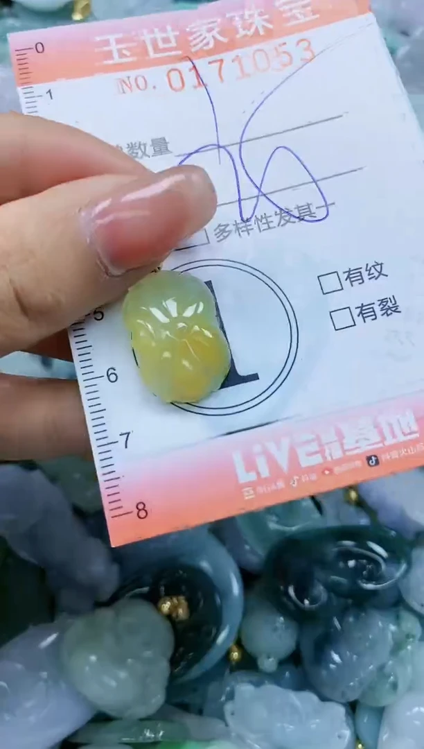 【闪购商品】翡翠颈饰未镶嵌闪购0171053