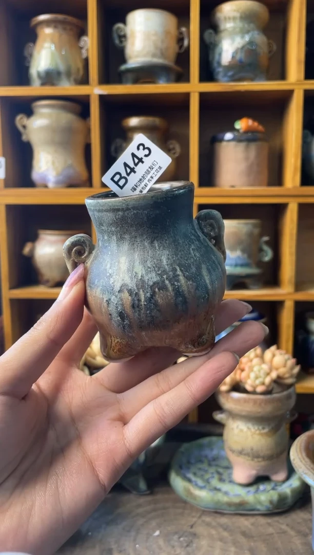 443内口4【多肉花盆多肉盆】