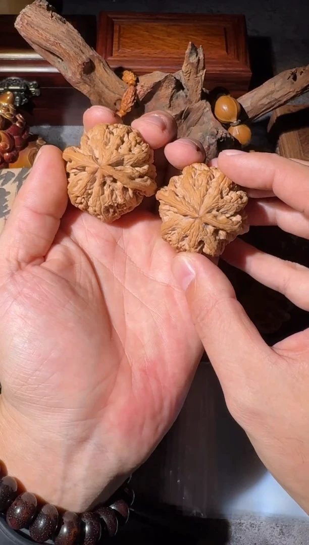 把件文玩核桃大粗筋