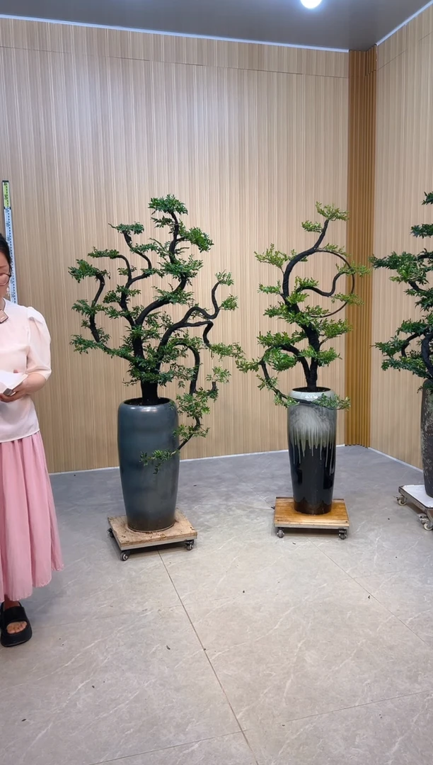 无花朵阿*拉小叶紫檀小叶紫檀