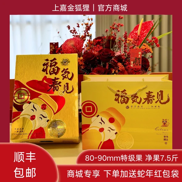 年货首选 上嘉金狐狸福气春见耙耙柑礼盒 新鲜特级大果 坏果包赔