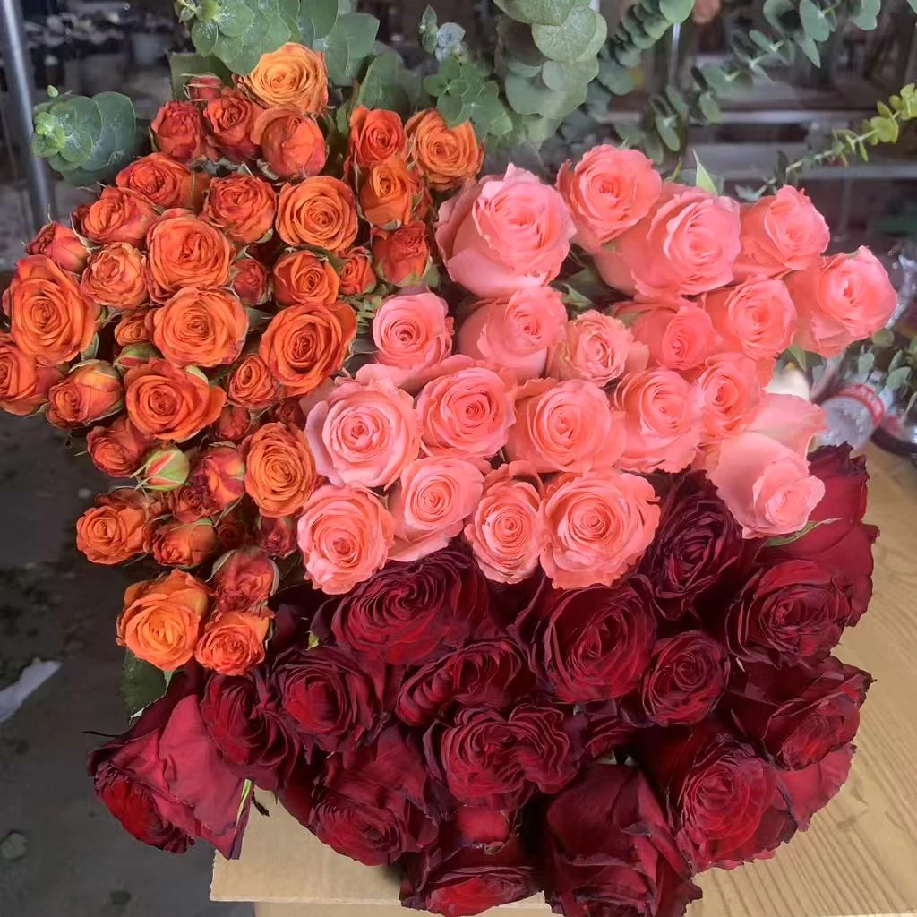 高原红8枝+戴安娜8枝+橙色芭比（3-5枝）+草