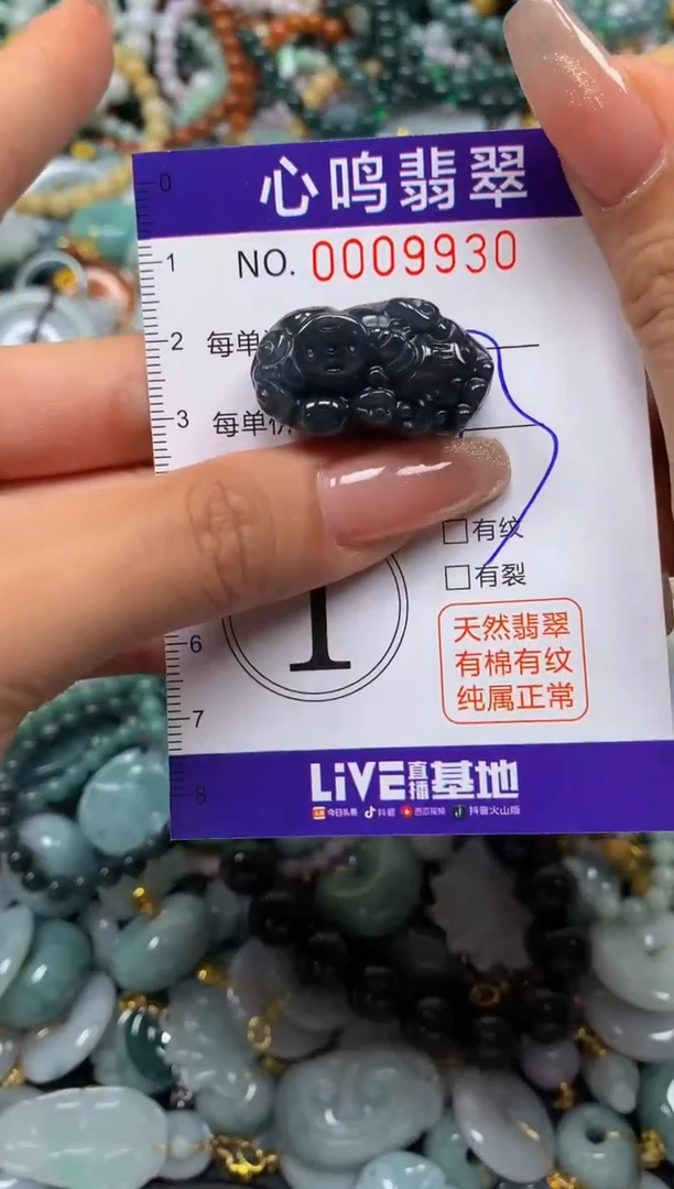 翡翠未镶嵌颈饰闪购009930