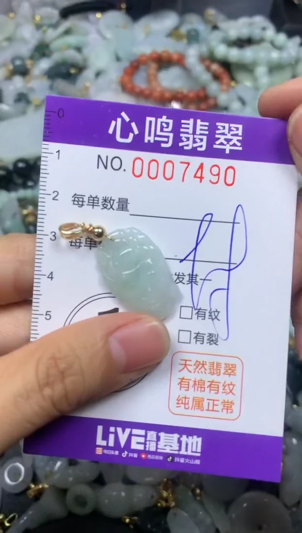 【闪购商品】翡翠颈饰未镶嵌闪购007490