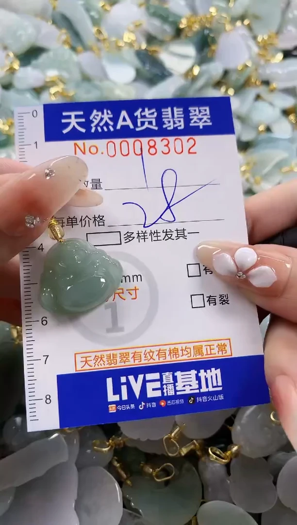 颈饰未镶嵌翡翠天然A货翡翠