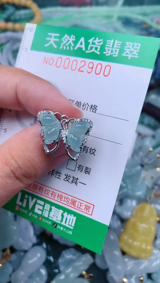 翡翠未镶嵌颈饰.0002900