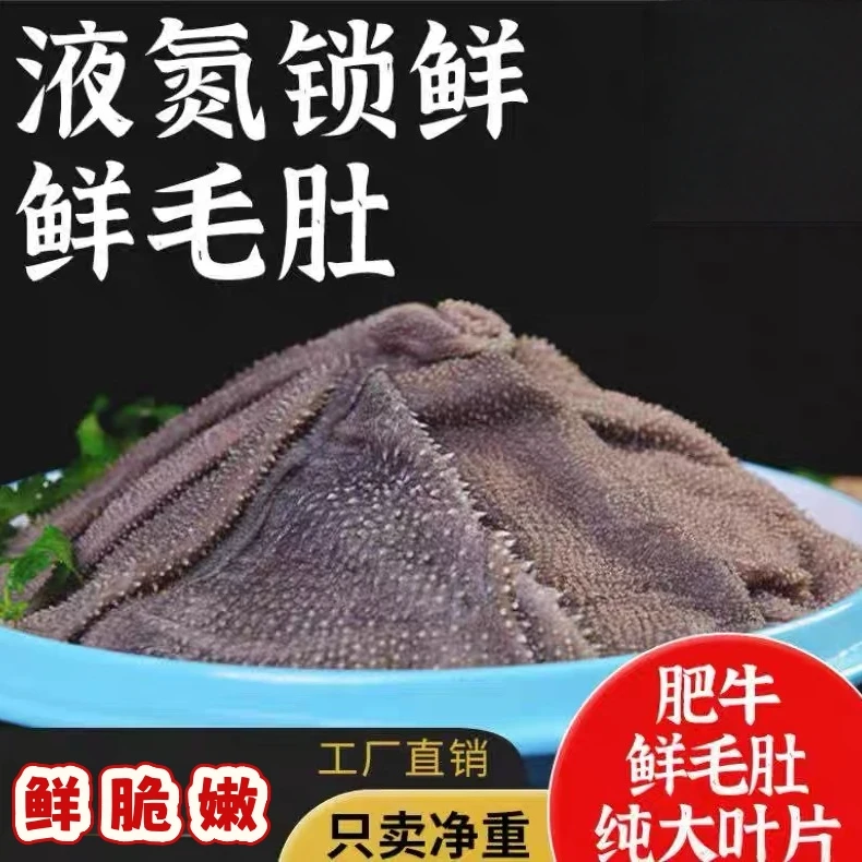 8秒鲜毛肚纯净大叶片 去梗子去底板 净重500g 固形物含量90%以上