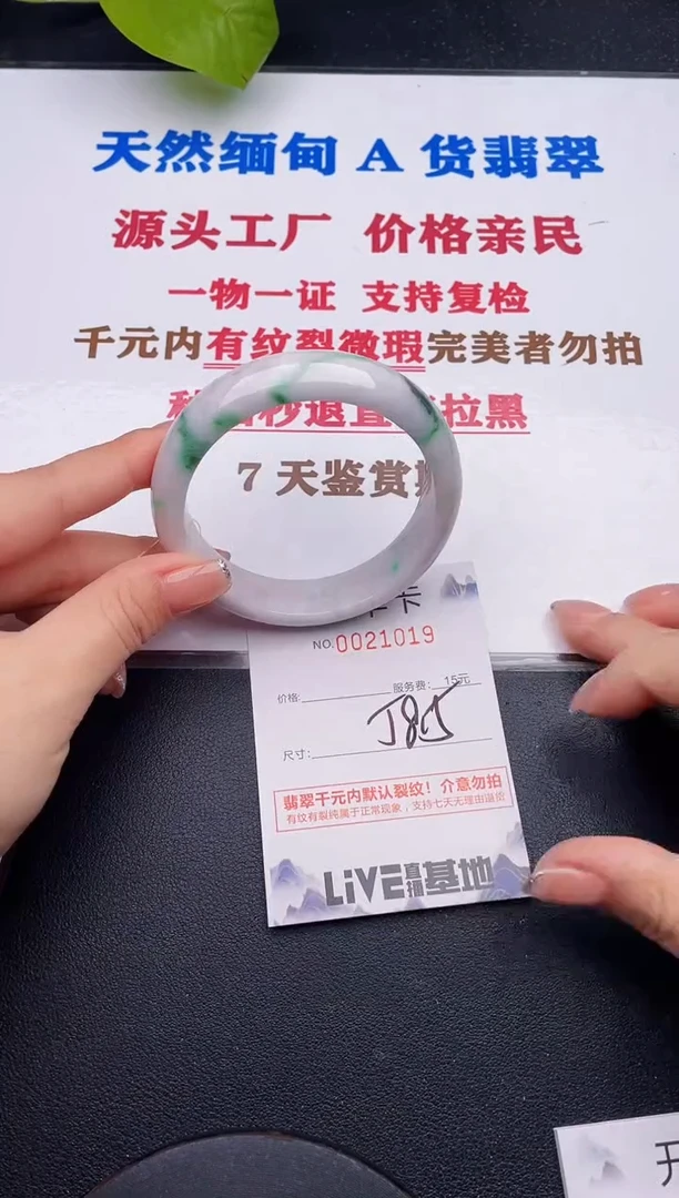 未镶嵌手镯翡翠19