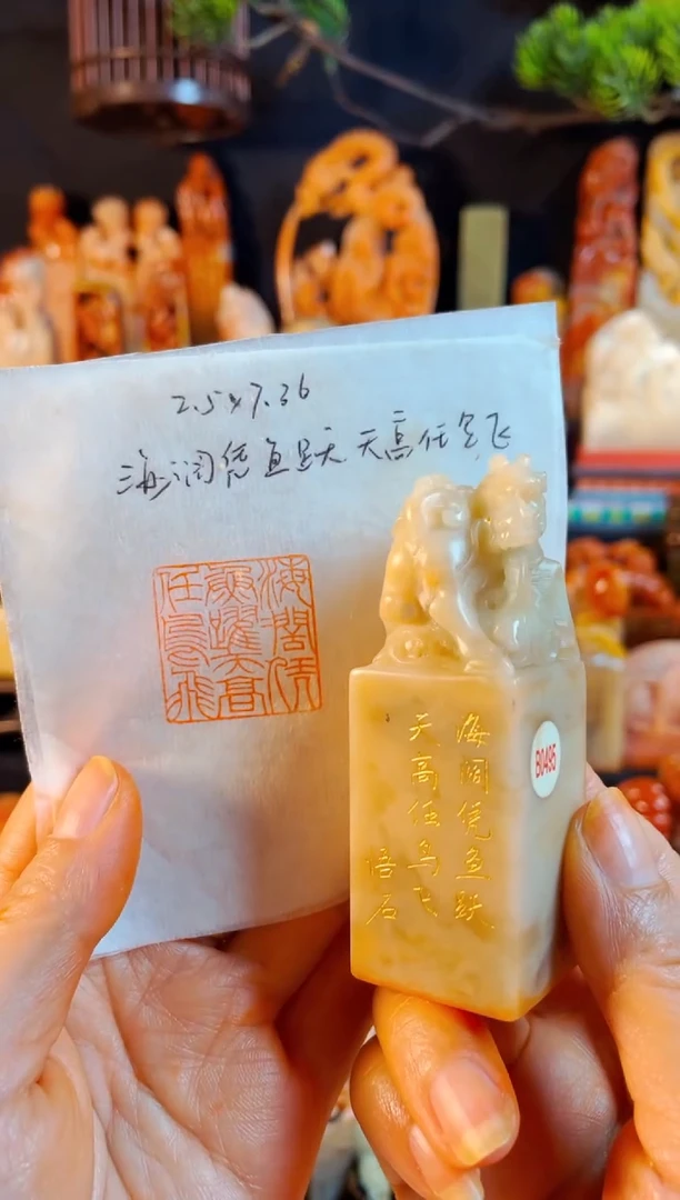 老挝石印石手工篆刻《海阔凭鱼跃天高任鸟飞》