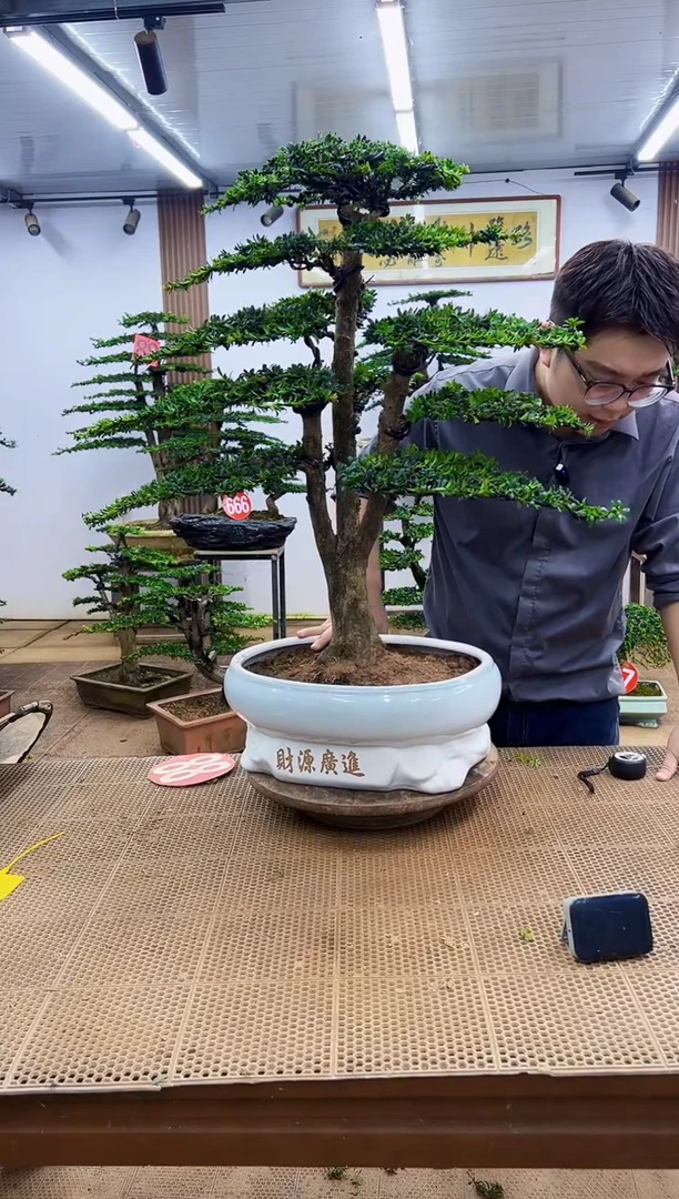 无花朵一物一拍，所见即所得