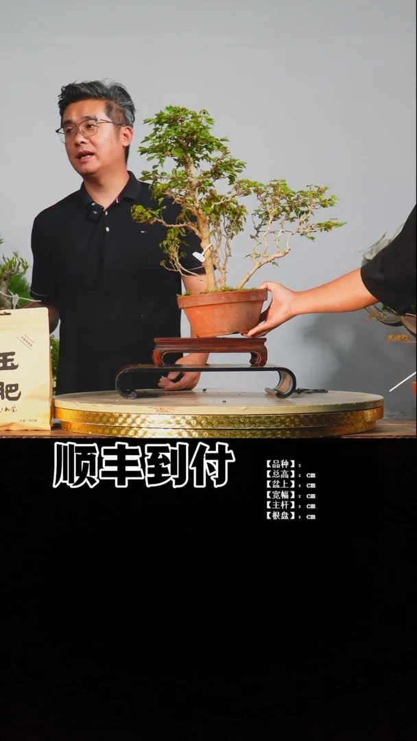 无花朵v568唐枫bubaoyou