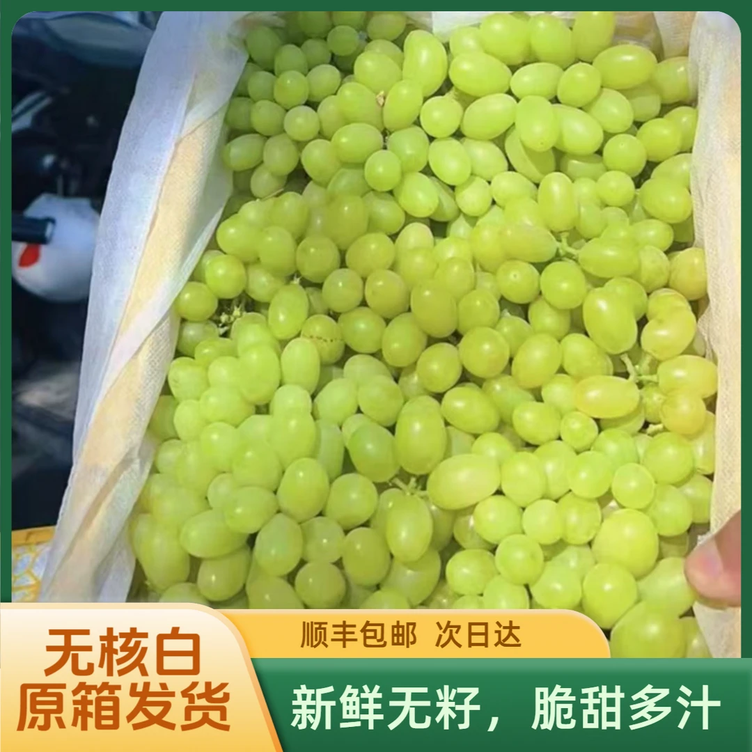 【顺丰包邮】4斤装 新疆吐鲁番 奶香无籽白 小蜜蜂葡萄 ll0商超品质果脆甜多汁aq1新疆维吾尔自治区