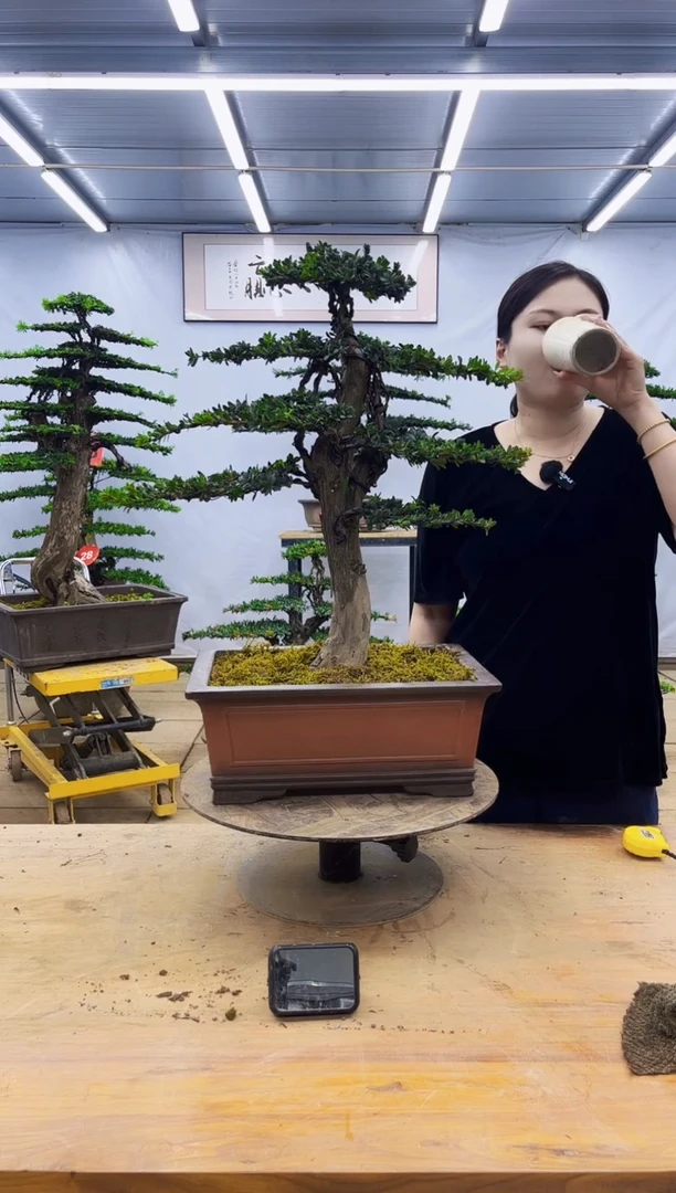 无花朵一物一拍，所见即所得