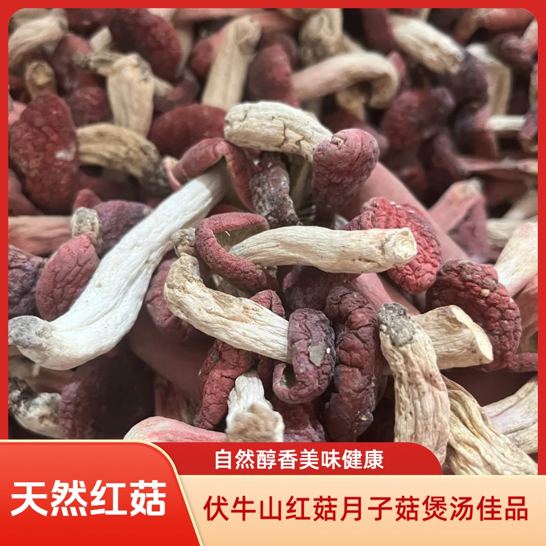 【飞哥专属】天然红菇正宗月子菇菌菇煲汤做菜味道鲜美营养红蘑菇