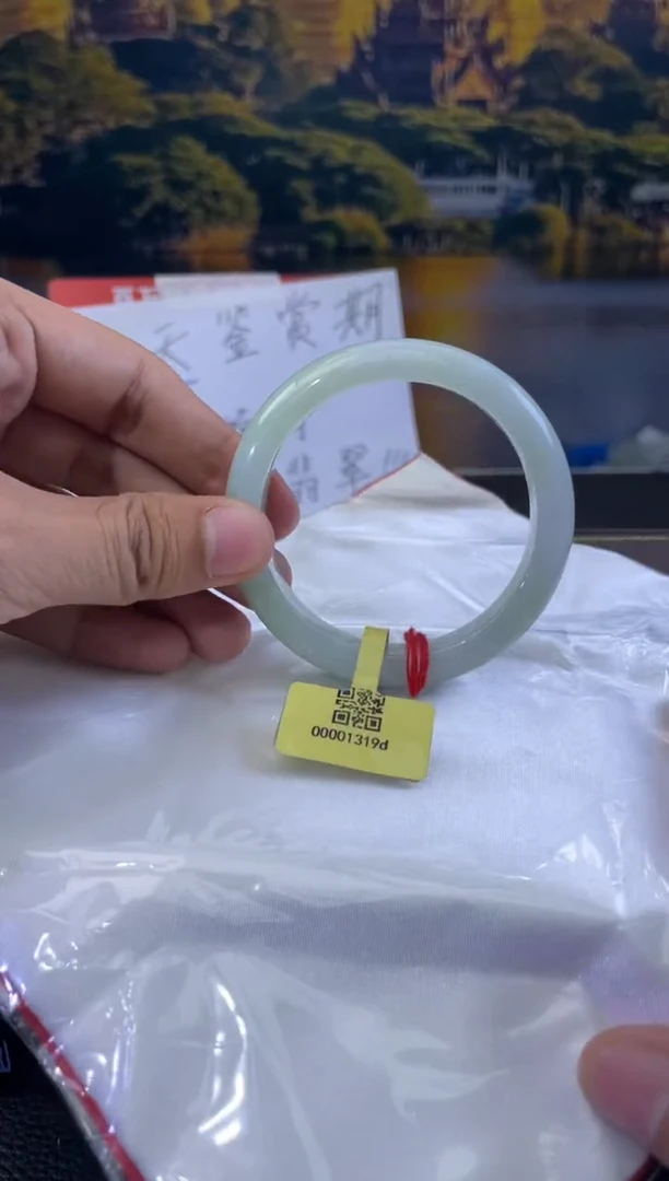 未镶嵌手镯翡翠5
