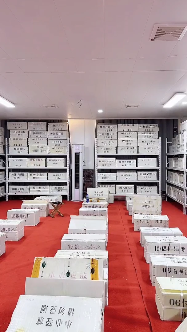 满天星万紫千红99344001