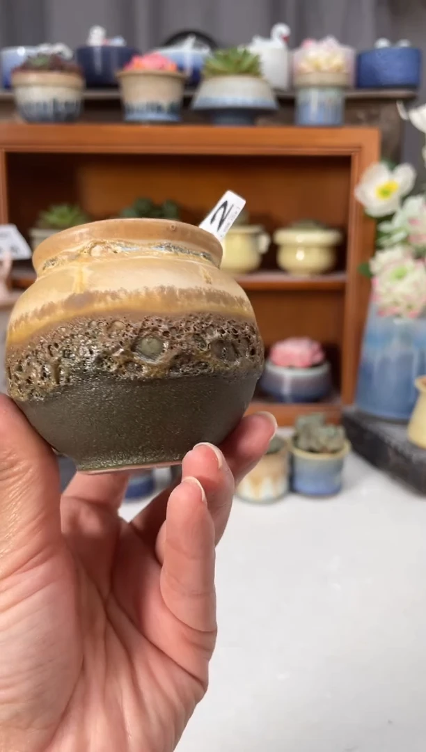瓷片242知木小芳花盆