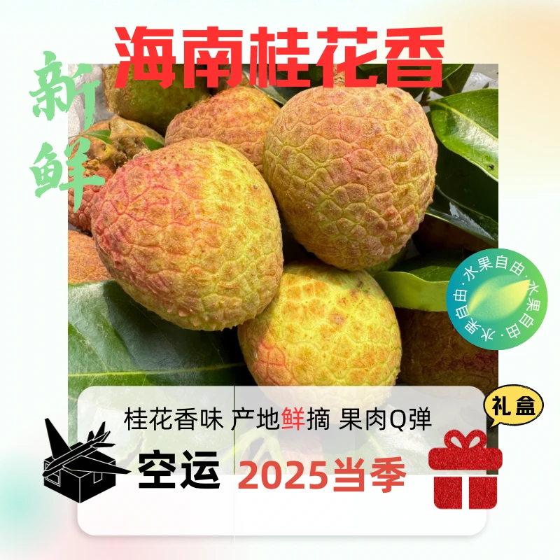 【2025现摘荔枝空运礼盒】海南荔枝桂花香新鲜荔枝产地老树荔枝现摘