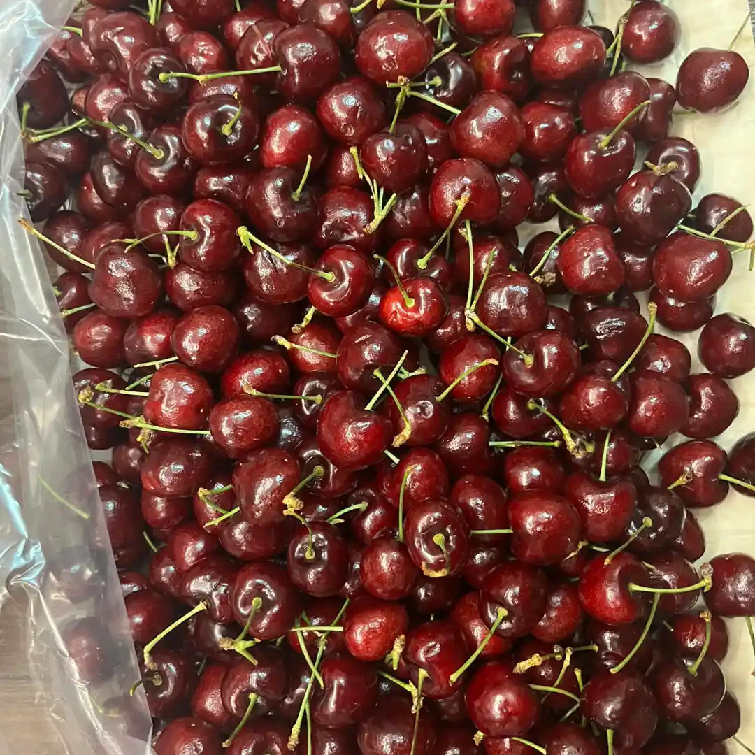 车厘子JJ五斤/盒（金狐狸）