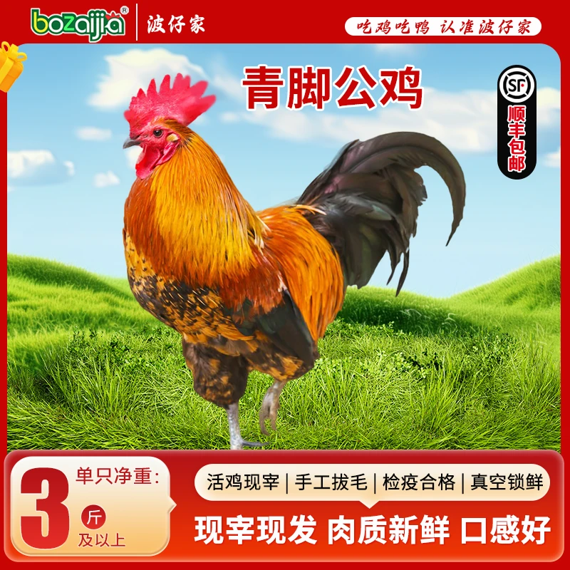 【bozaijia】波仔家青脚公鸡单只净重1.5kg*2 包冰率不含冰
