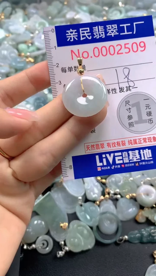 颈饰未镶嵌翡翠2509