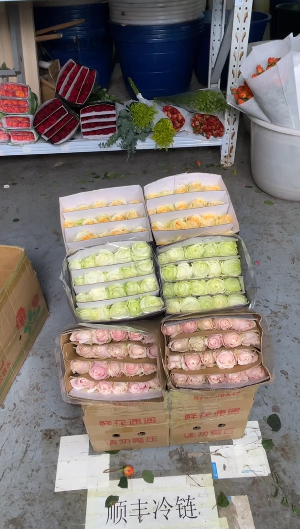 白雪山20枝+粉红20枝+香槟20枝