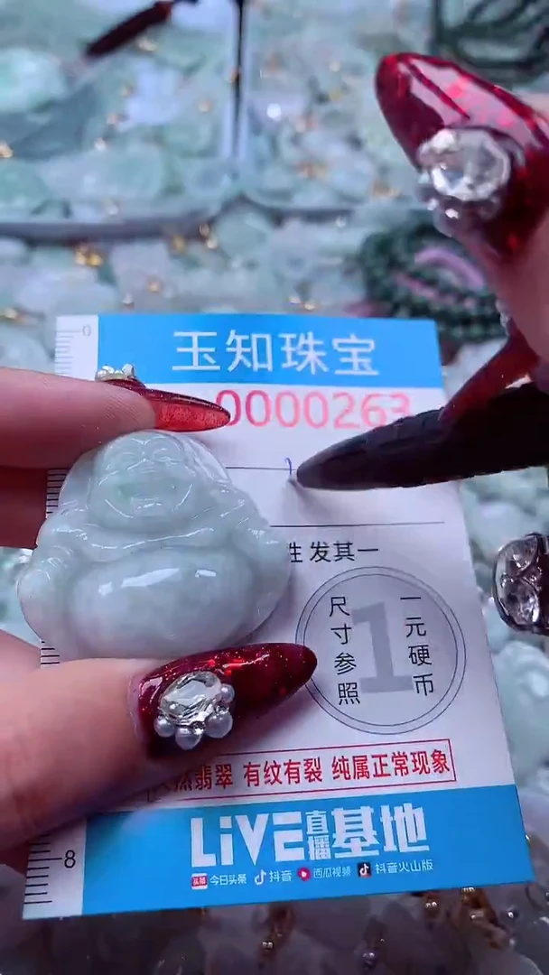 吊坠(不含链)未镶嵌翡翠263