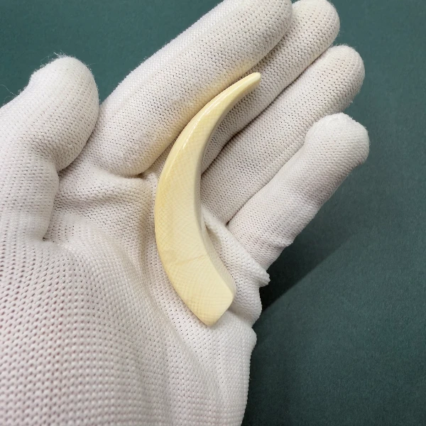 E6202天然猛犸牙牙尖支持鉴定 假一罚四