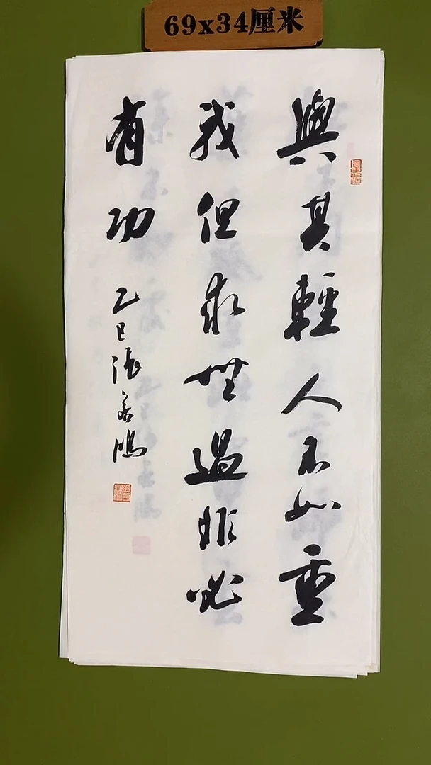 书法书法 张若鸿 尺寸69cm*34cm