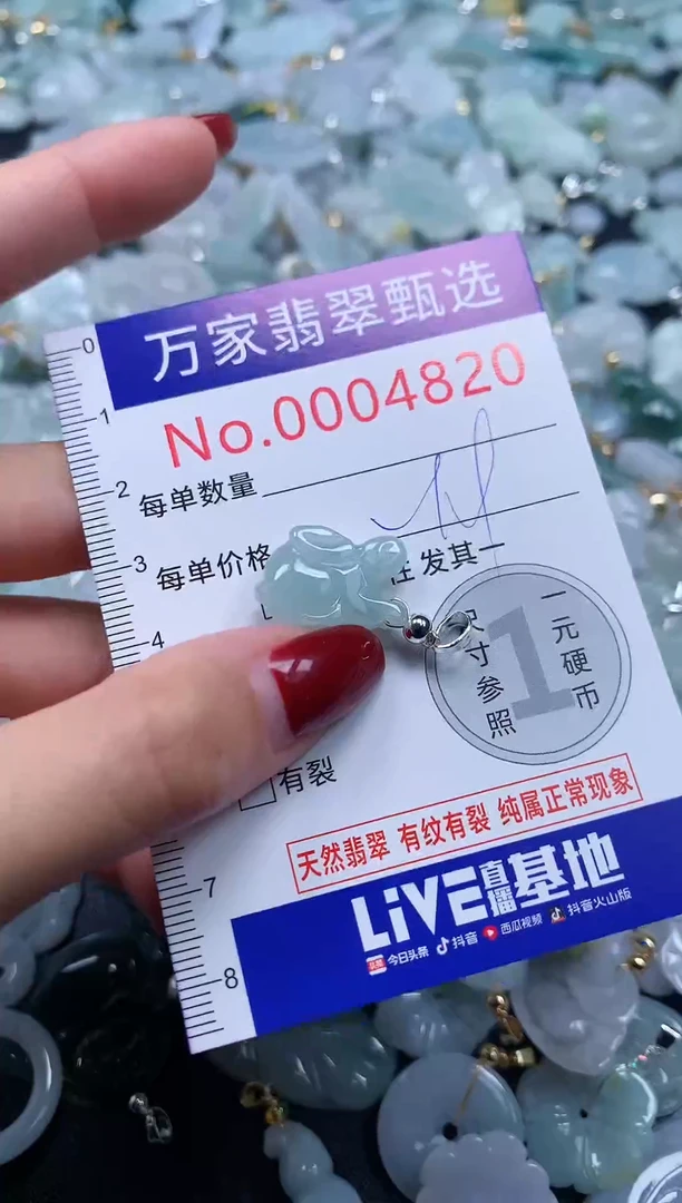 颈饰未镶嵌翡翠4820