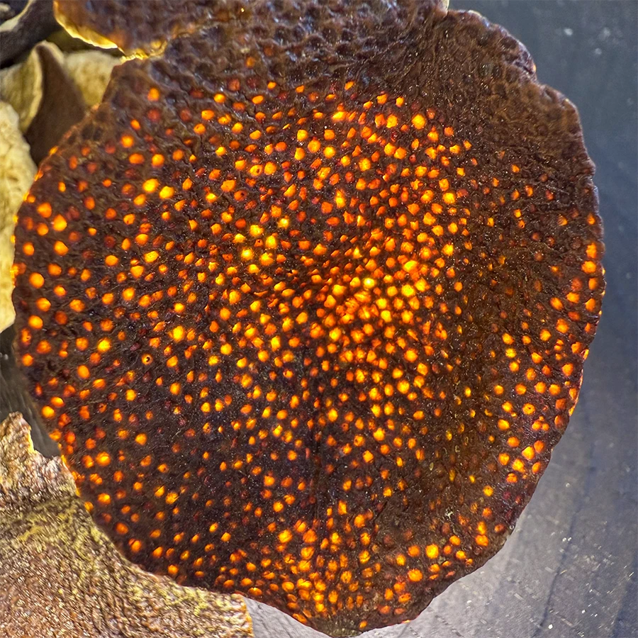 【2009梅江圈枝品鉴】新会陈皮 大红皮单片 正宗原产 核心产区