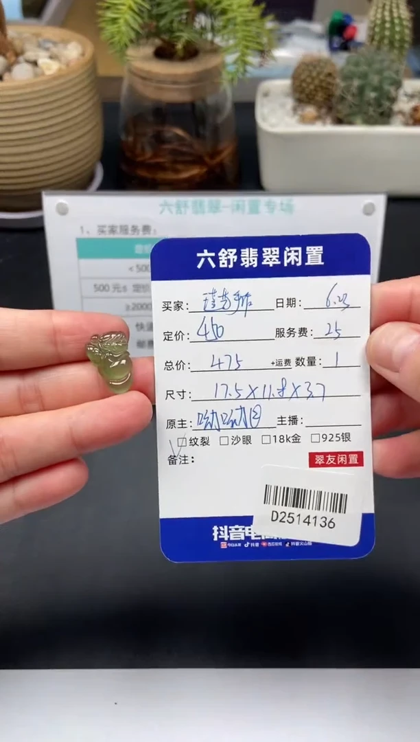 翡翠未镶嵌颈饰瑾**作D2514136