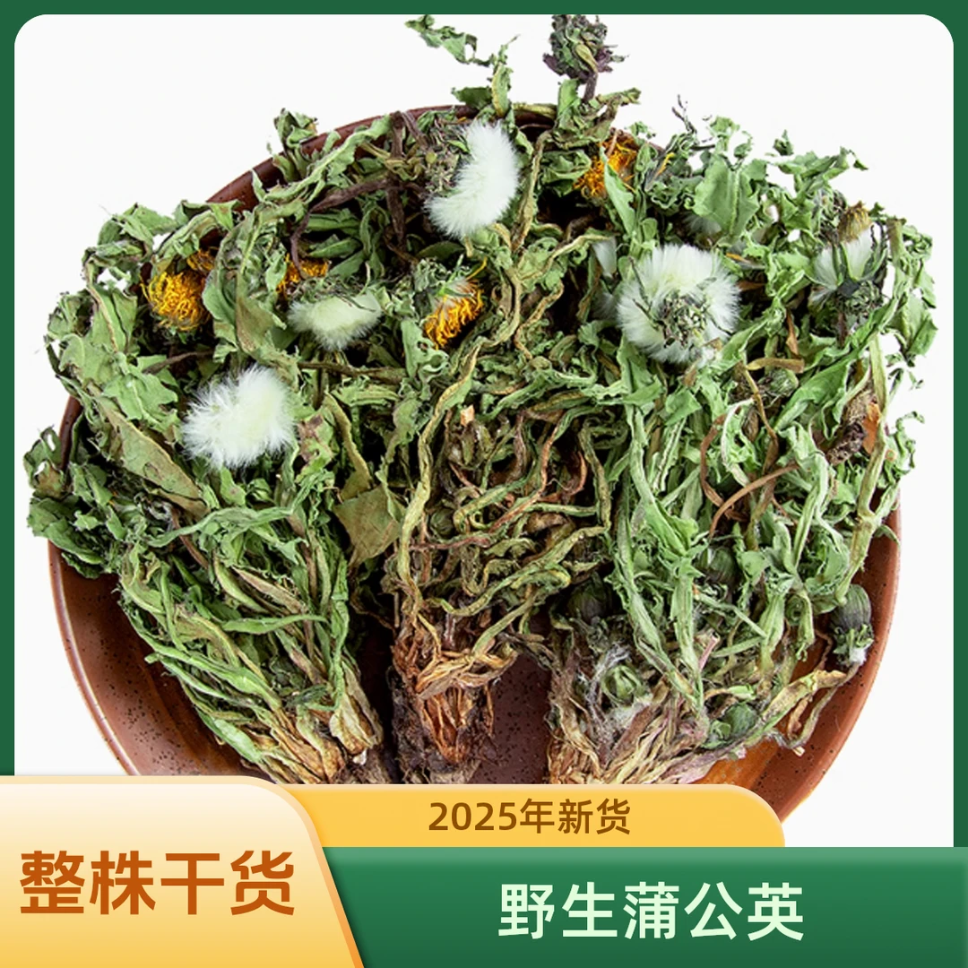 【山货蒲公英】大巴山蒲公英根纯野生蒲公英泡水喝车前草夏枯草凉茶