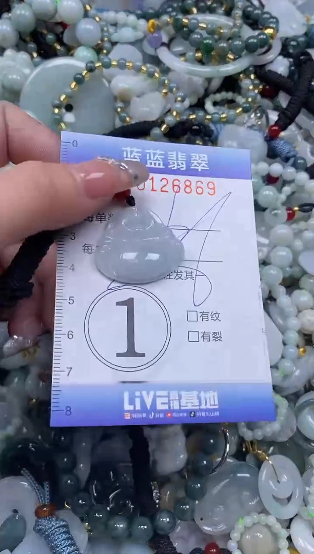 【闪购商品】翡翠颈饰未镶嵌闪购0126869多样性发其一