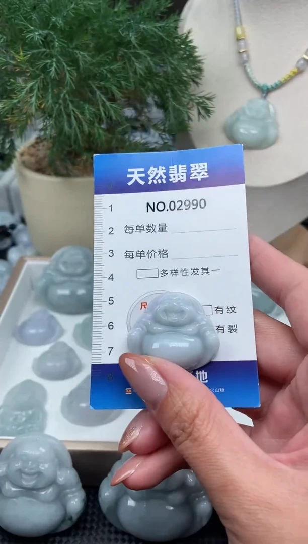 颈饰未镶嵌翡翠纯天然A货缅翡2990