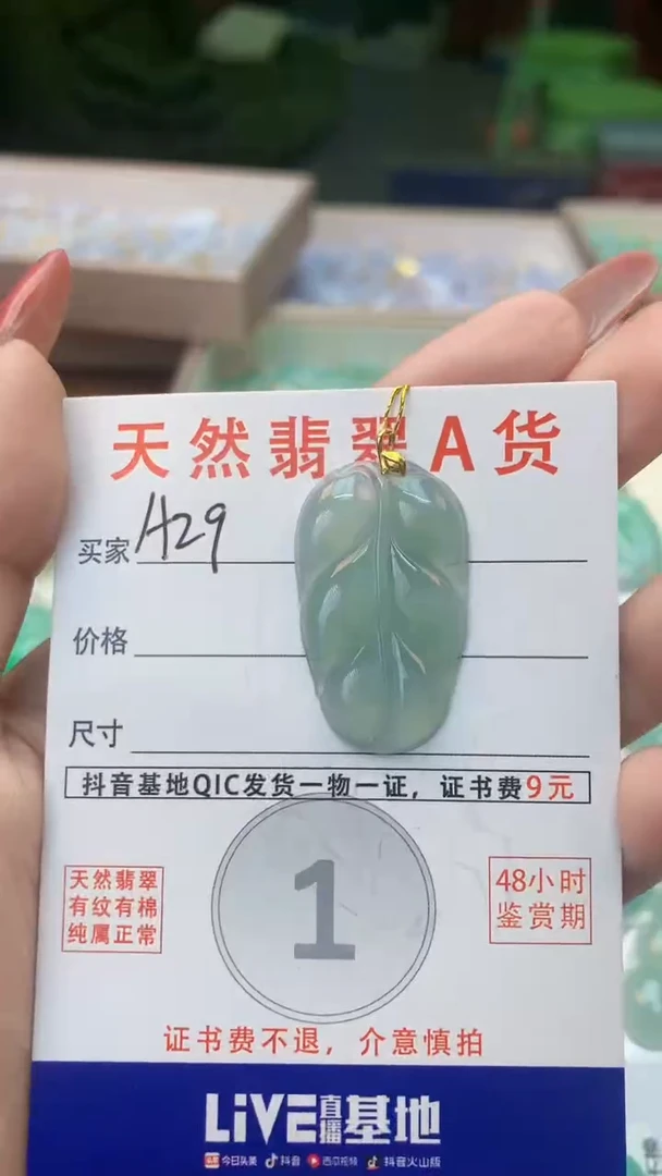 颈饰未镶嵌翡翠天然A货翡翠挂件